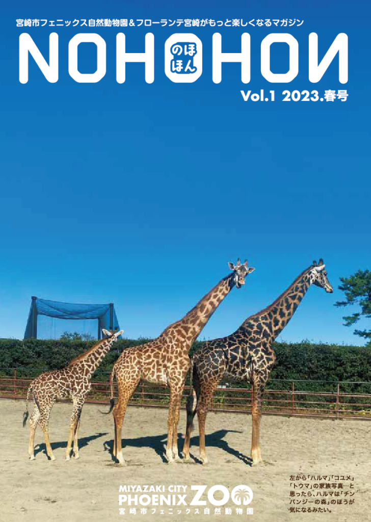 NOHOHON2023年春号